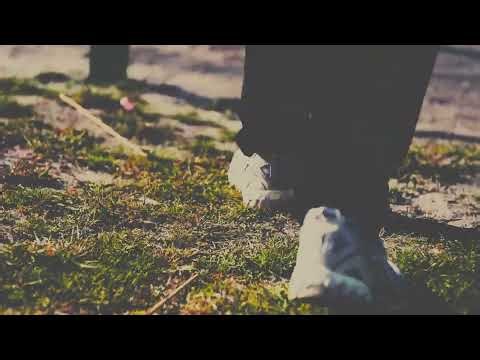 New Balance Archery Promo Shot.