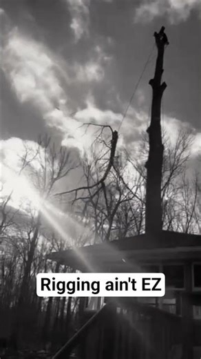 Safely Rigging a Limb Close to a House | Ohio Tree Removal