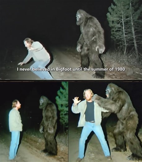 This Bigfoot Was Speaking Perfect English, But When It Noticed I Was Recording… - Sasquatch Story My name is Vincent Holloway, and I am 72 years old. This is the story of the summer of 1980, the summer I met a Bigfoot who spoke perfect English on a hiking trail in the Cascade Mountains of Oregon. What happened when that creature realized I was recording our conversation changed my entire life, forcing a singular, profound choice between proof and survival. I was 27 then, a freelance nature photo