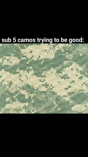 I like multicam and own it don't hate💔 #camo #camouflage #millitarytiktok #airsoft #Real