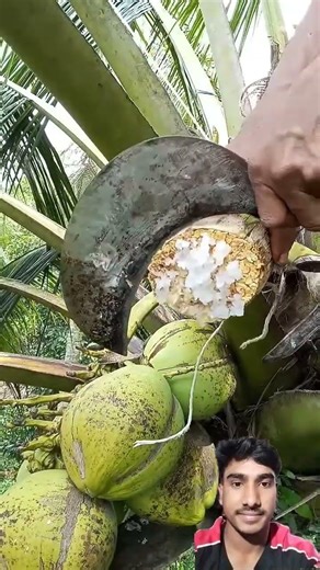 এ ফলের নাম কি কে বলতে পারবা #shorts #viralvideo #bangladesh #trending