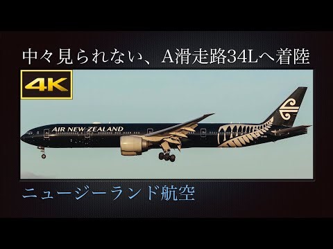 4K 中々見られない、夕日に染まる冬の成田国際空港A滑走路34Lに着陸する オールブラックス(All Blacks) ニュージーランド航空 Boeing 777-319(ER) ZK-OKQ
