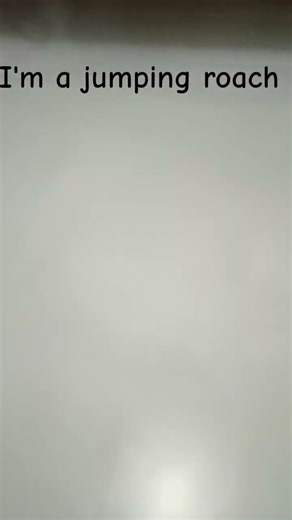 I'm a crawling rock cockroach