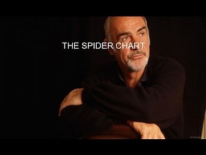 THE SPIDER CHART