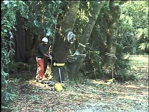 Good Rigging Friction Lowering Device - Operation