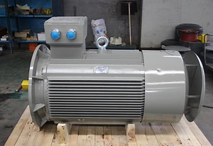 [Hot Item] Motor Electrical Induction Motors 100kw