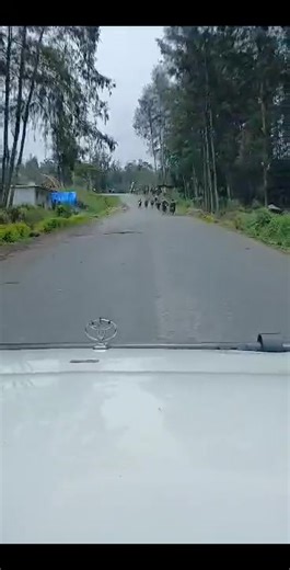 Currently happening in Mulitaka Enga province, trouble fighting now involving all the Tribes leaving between Kera Bridge in Laigam District all the way to Mulitaka Station PNG Breaking News NBC News PNG MAF Papua New Guinea Porgera Gold Mining Wabag Enga Province Travel PNG Reloaded Papua New Guinea National Department of Health PNG LNG Kumuls PNG LuckyBet777 PNG News & Updates PNG National Rugby League Competition Wild Wêst Pàràmbà | Kiluwe Nimbs