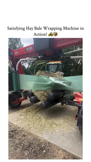 MST. AMINA on Instagram: "- This 33-second video demonstrates an agricultural process where a large, square hay bale is automatically wrapped in plastic film for preservation. The Subject: A very large, square-shaped hay bale is positioned inside an industrial wrapping machine. - The Process: The machine rotates the bale while simultaneously applying layers of thin, green plastic film using an automated system. - The Purpose: This process creates airtight silage, protecting the bale from moistur
