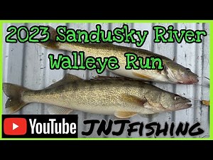 2023 Sandusky River Walleye Run March 3rd