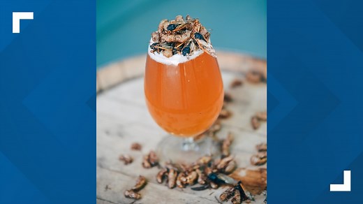 Brewd-X | Knoxville brewery creates cicada-themed beer to celebrate Brood X