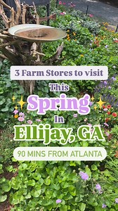 92K views · 1K reactions | Spring in Ellijay means blooming flowers,...