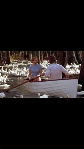 the notebook - 500 miles