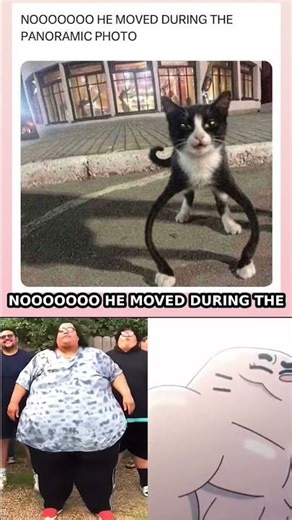 NOOOOOOO HE MOVED DURING THE
