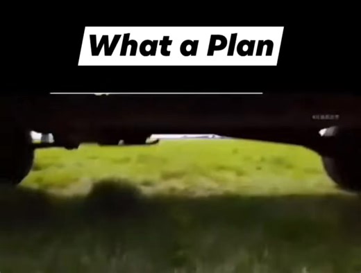 This is amazing! 😃 | Classic Cartoons