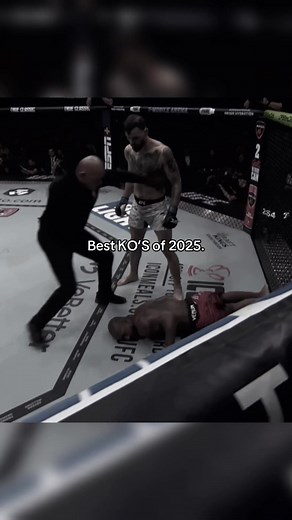 Best Knockouts in UFC 2025: Epic Highlights