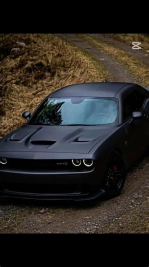 The Ultimate Dodge Challenger Experience! 😈 | Smooth Car Slideshow