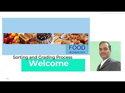 Sorting and Grading process in Food Processing