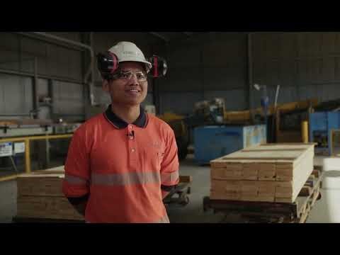 We All Belong at Timberlink