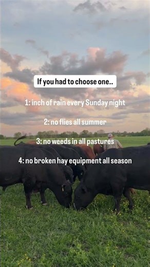 What are you picking?? 😍#summer #ranchlife #cattle #farmlife #hayseason