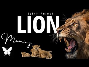 Lion Spirit Animal | Lion Spirit Guide | Lion Symbolism | Lion Totem