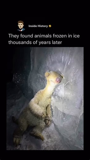 Inside History on Instagram: "A new AI-generated video by 3D artist Itay Shay reimagines the Ice Age characters—Manny, Sid, Diego, and Scrat—slowly emerging from prehistoric ice, set to ABBA’s Slipping Through My Fingers. The familiar cast is transformed into something unexpectedly reflective, turning a beloved animated franchise into a quiet meditation on time, memory, and growing up. Posted on December 20, 2025, the clip quickly gained traction, surpassing 638,000 views and 24,000 likes within