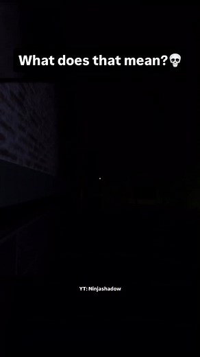 Not playing this again - #roblox #fyp #jumpscare #scary #horror #funny #memes #memesdaily #meme #ninjashadow | Youtuber • Ninjashadow | Facebook