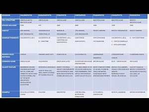 ALAGE AND IT'S CLASSIFICATION || G.M. SMITH CLASSIFICATION OF ALGAE || UG & PG
