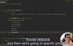 从头开始用 pytorch 复现 EfficientNet
