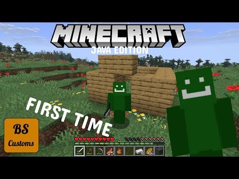 PLAYING MINECAFT JAVA FOR THE FIRST TIME