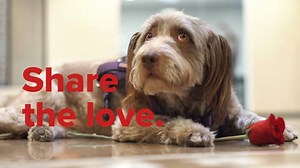 This Valentine's Day, share the love in your clinic with these free PT, OT, and SLP-themed valentines. Download yours right here: https://webpt.co/2t81Tje P.S. Best viewed with sound on! | WebPT