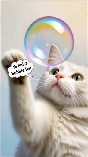 BUBBLE V/S CAT 😹 || #cat #funny #cute #youtubeshorts