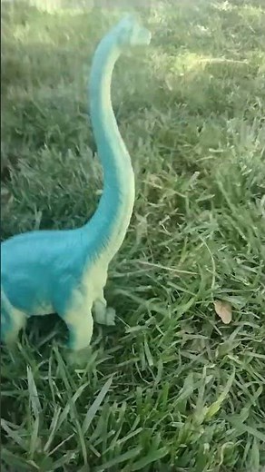 brachiosaurus vs apatosaurus! 🦕