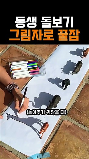 그림자 따라 그리기, 아이 혼자 1시간 노는 역대급 육아 꿀팁 🦒 #그림