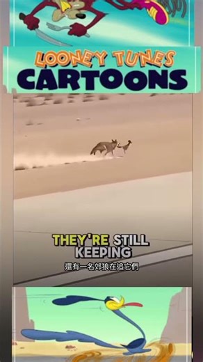 現實版威利狼追必必鳥？！卡通場面真實上演！Real-Life Wile E. Coyote vs Road Runner?! Cartoon Chase Comes to Life!