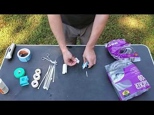 doberman puppy ear posting backer rod method