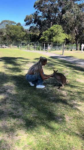 what a day 🥹 #symbio #sydney #zoo #dancer