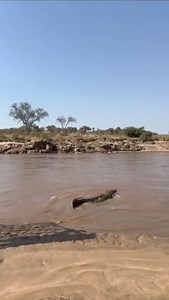 Kenya Wildlife Service on Reels