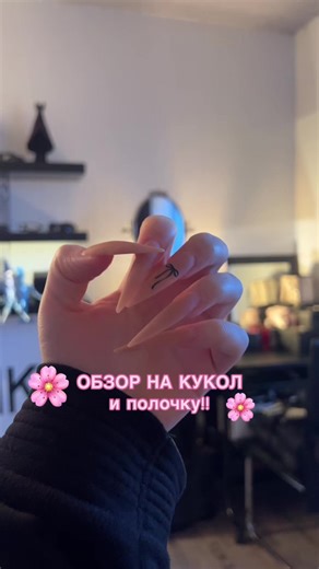 Monster High Doll Review and Display Tips