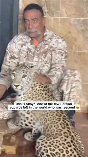 343K views · 7.9K reactions | Check out our comfy leopard shirts and...