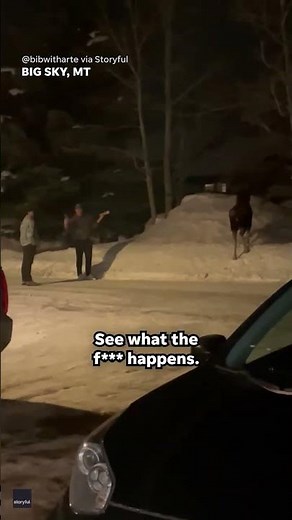 Moose charges at men who ignore repeated pleas to leave animal alone #Shorts