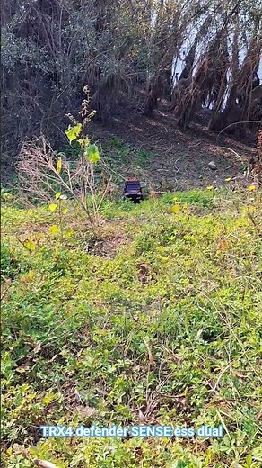 TRX4 defender - sense ess dual sound system