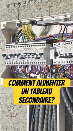 How to power a secondary electrical panel? #electricity #renovation #tutorial #diy