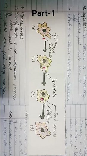 NCERT class 10th Biology chapter 1|| Part 1||