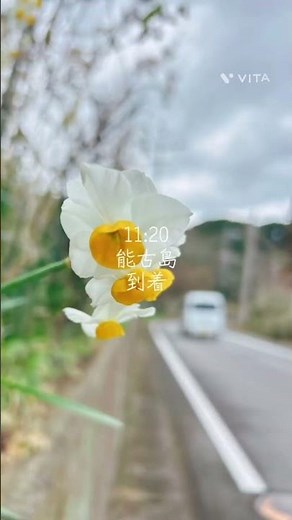 #博多 #能古島 #離島 ☆博多湾に浮かぶ柑橘類と歴史の島、能古島！夜は中洲屋台デビュー
