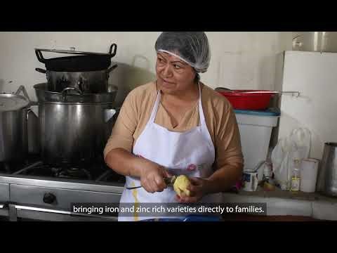 2025 at CIP: Advancing Science, Strengthening Impact