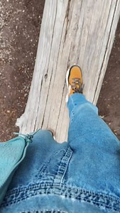 954 reactions · 45 shares | All the fall vibes in Glacier National Park | Jamie Road Trips | Facebook