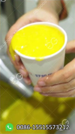 Fresh Mango Juice Processing Factory Equipment