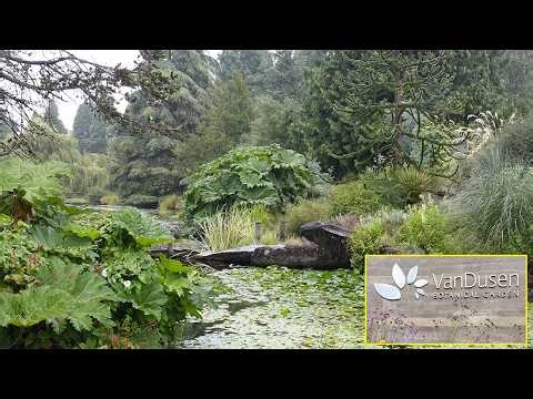 DISCOVERY VISIT TO BRITISH COLUMBIA, FROM THE SUPERB VANDUSEN BOTANICAL GARDEN IN VANCOUVER (CANADA)