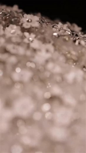 The 5 most expensive weddings ever #top5 #expensive #wedding | Top5expensive