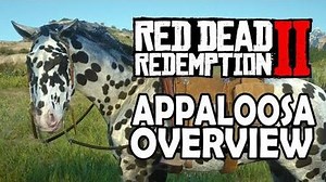 Red Dead Redemption 2 Horses - Appaloosa Overview